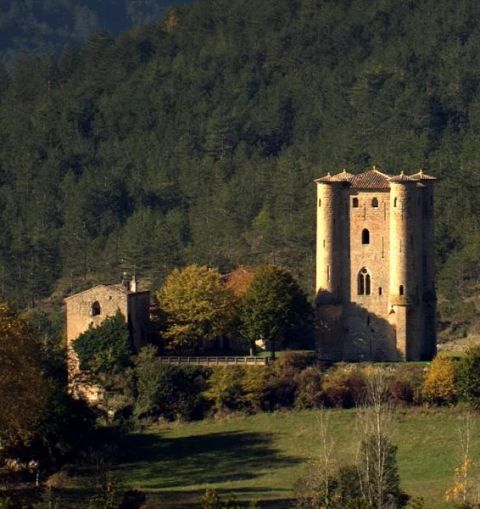 Arques Castle